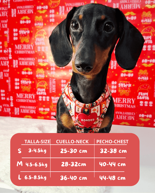 bonded arnesesparaperros arneses correasapraperros perros tiendapsramascotas collaresdegato paraperros