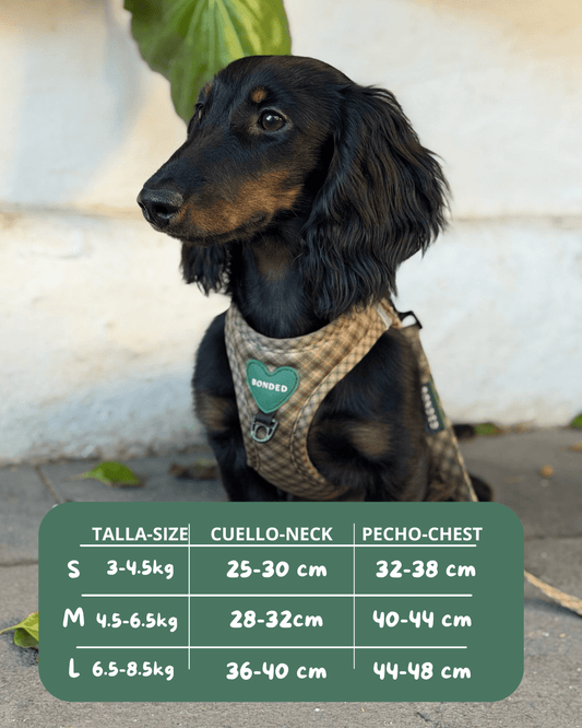 bonded arnesesparaperros arneses correasapraperros perros tiendapsramascotas collaresdegato paraperros