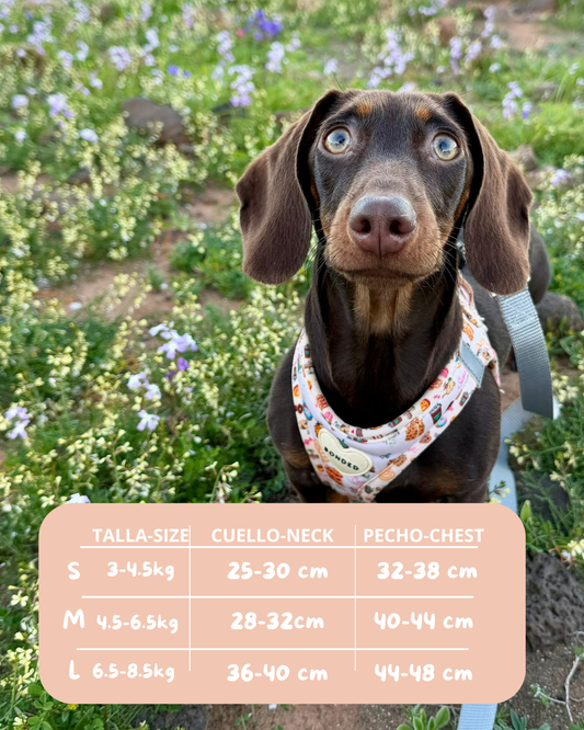 bonded arnesesparaperros arneses correasapraperros perros tiendapsramascotas collaresdegato paraperros