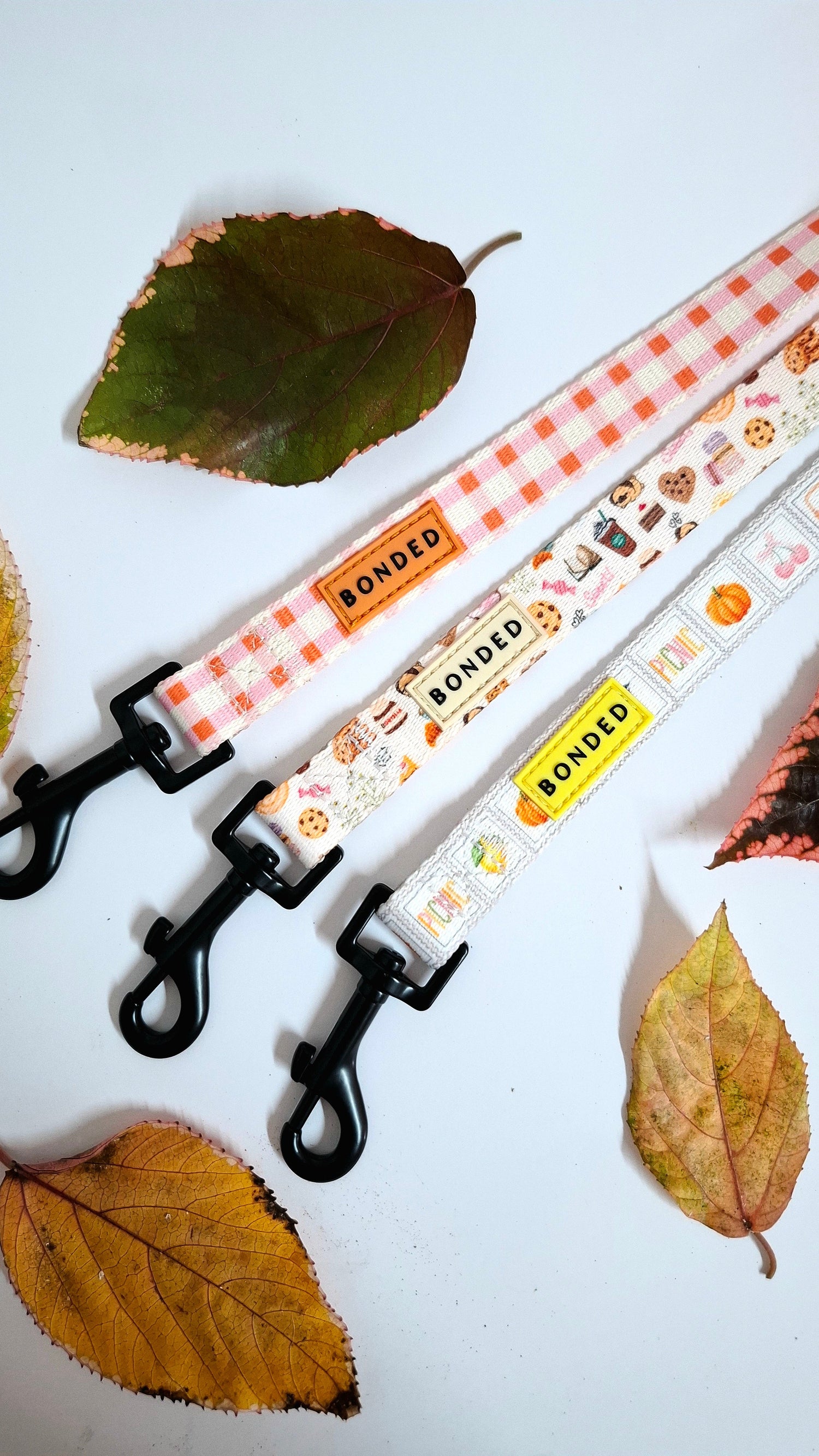 Correas estampadas - BONDED