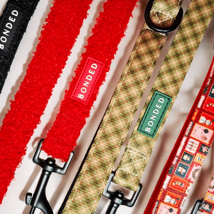 Correas estampadas - BONDED