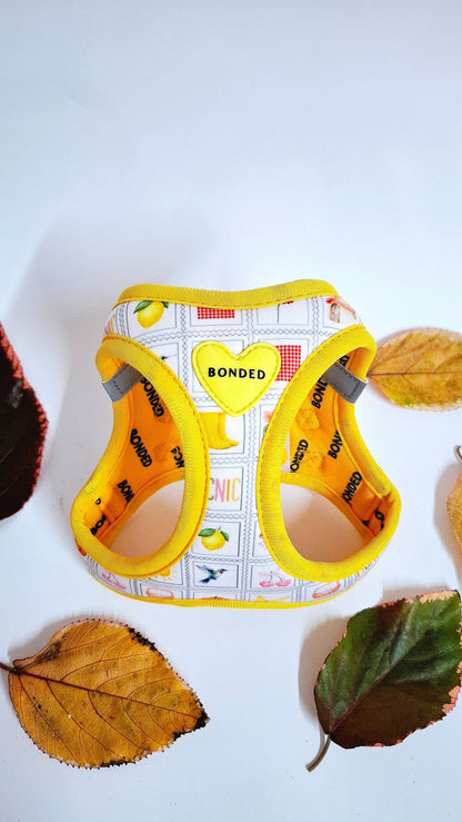 bonded arnesesparaperros arneses correasapraperros perros tiendapsramascotas collaresdegato paraperros