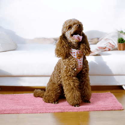 bonded arnesesparaperros arneses correasapraperros perros tiendapsramascotas collaresdegato paraperros