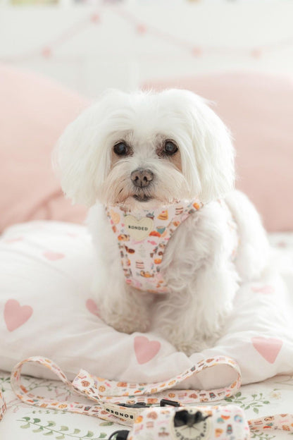 bonded arnesesparaperros arneses correasapraperros perros tiendapsramascotas collaresdegato paraperros