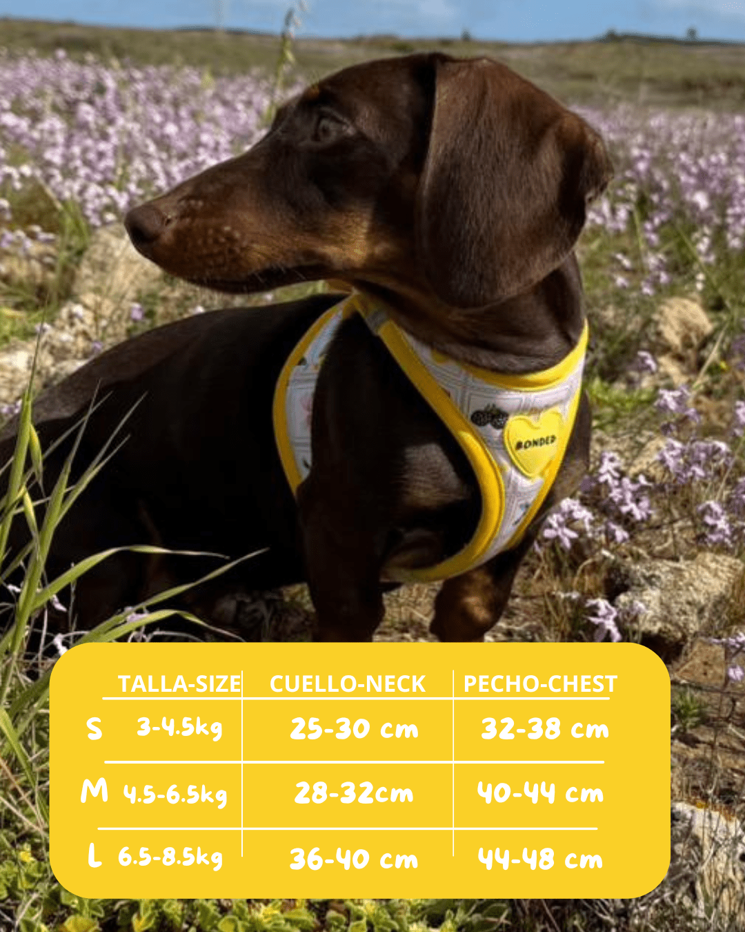 bonded arnesesparaperros arneses correasapraperros perros tiendapsramascotas collaresdegato paraperros