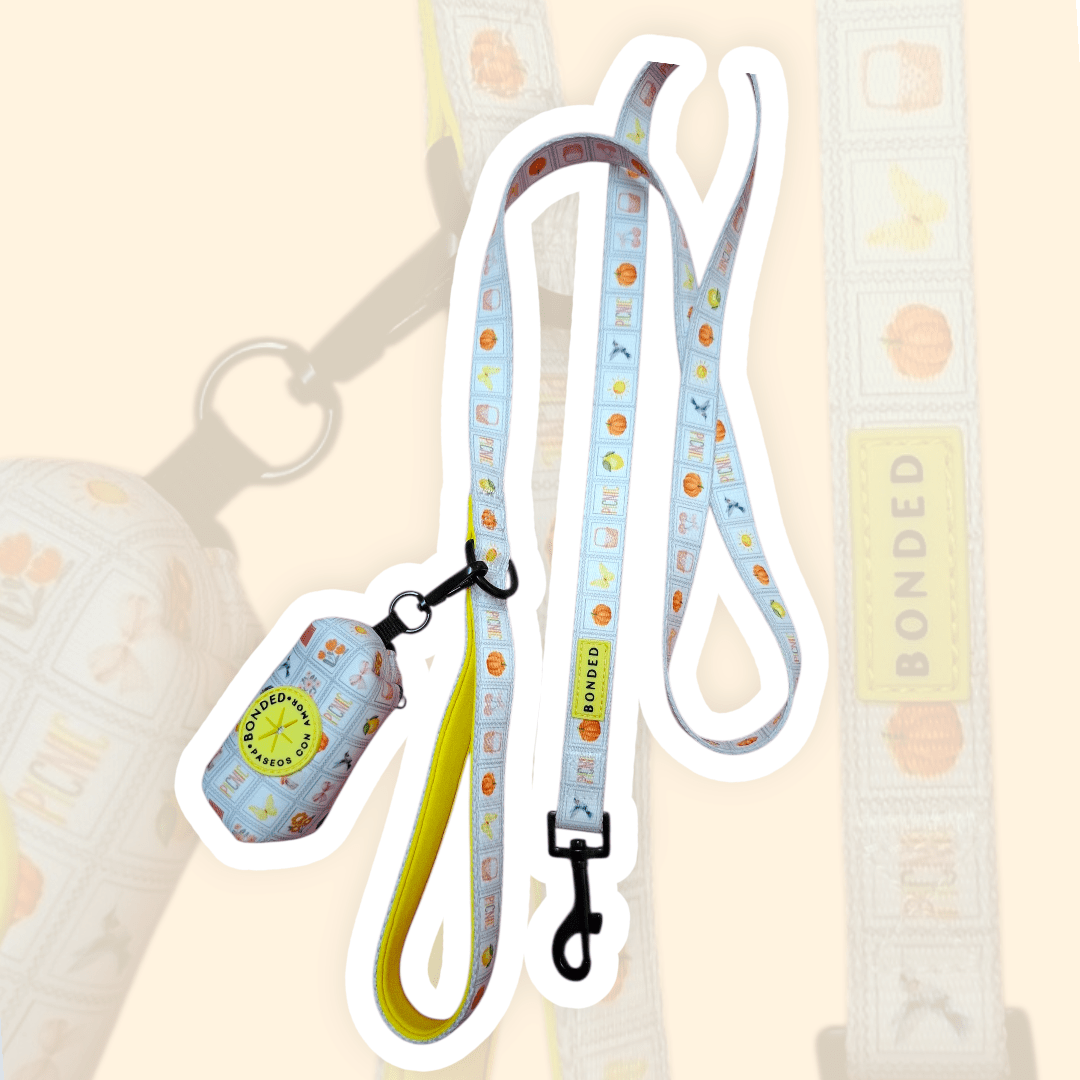 bonded arnesesparaperros arneses correasapraperros perros tiendapsramascotas collaresdegato paraperros