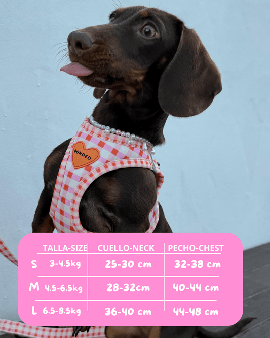 bonded arnesesparaperros arneses correasapraperros perros tiendapsramascotas collaresdegato paraperros