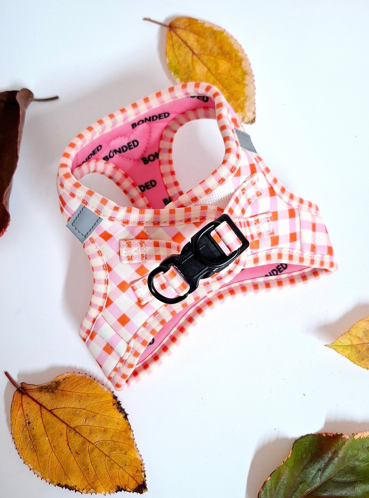 bonded arnesesparaperros arneses correasapraperros perros tiendapsramascotas collaresdegato paraperros