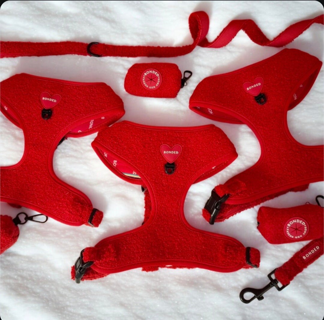 bonded arnesesparaperros arneses correasapraperros perros tiendapsramascotas collaresdegato paraperros