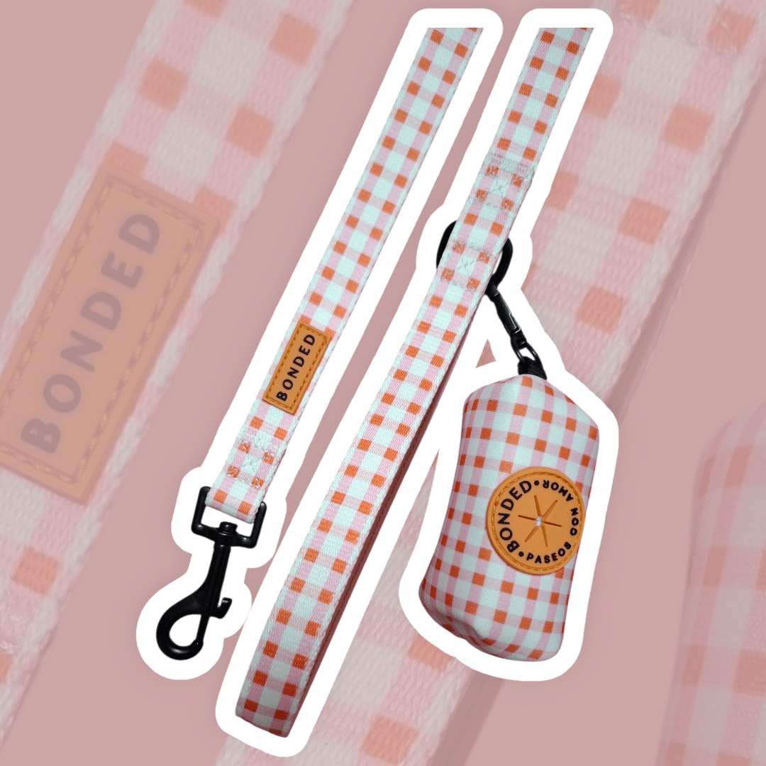 bonded arnesesparaperros arneses correasapraperros perros tiendapsramascotas collaresdegato paraperros