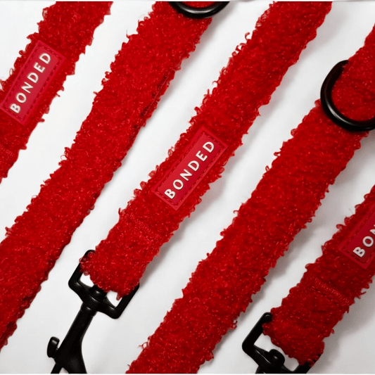 bonded arnesesparaperros arneses correasapraperros perros tiendapsramascotas collaresdegato paraperros