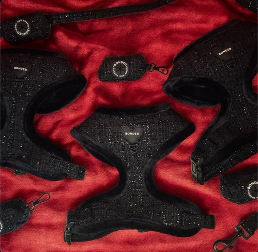 bonded arnesesparaperros arneses correasapraperros perros tiendapsramascotas collaresdegato paraperros