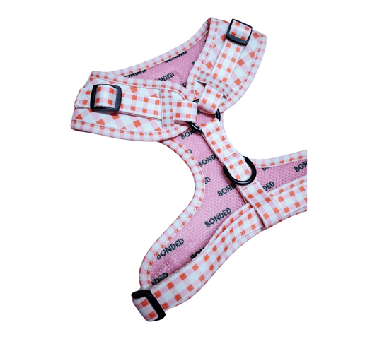 bonded arnesesparaperros arneses correasapraperros perros tiendapsramascotas collaresdegato paraperros