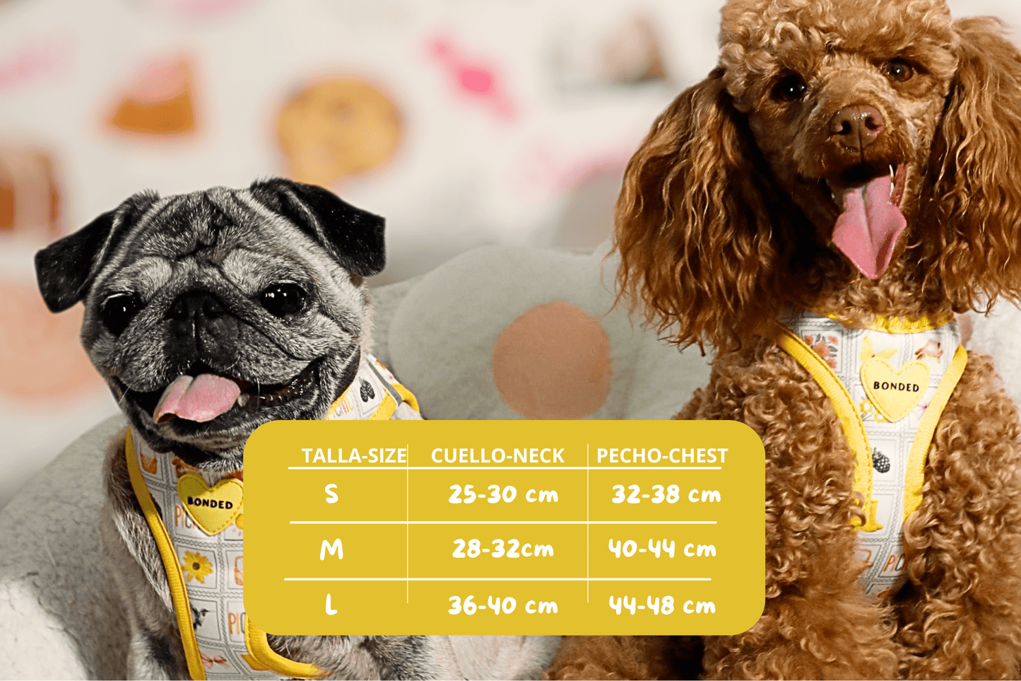 bonded arnesesparaperros arneses correasapraperros perros tiendapsramascotas collaresdegato paraperros