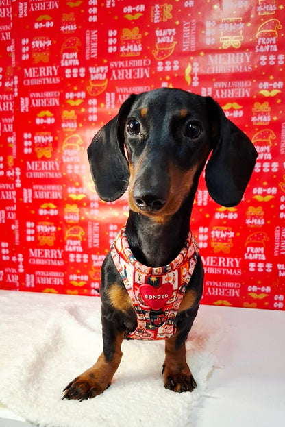 bonded arnesesparaperros arneses correasapraperros perros tiendapsramascotas collaresdegato paraperros