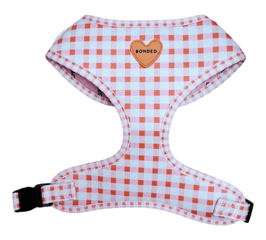 bonded arnesesparaperros arneses correasapraperros perros tiendapsramascotas collaresdegato paraperros