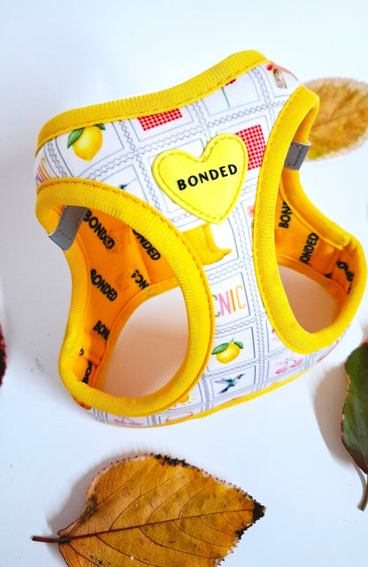 bonded arnesesparaperros arneses correasapraperros perros tiendapsramascotas collaresdegato paraperros