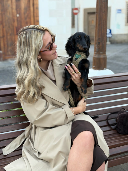 bonded arnesesparaperros arneses correasapraperros perros tiendapsramascotas collaresdegato paraperros