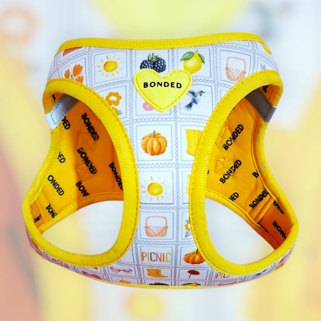 bonded arnesesparaperros arneses correasapraperros perros tiendapsramascotas collaresdegato paraperros