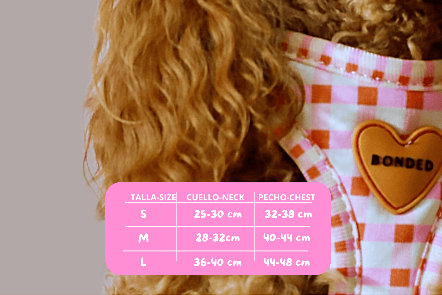 bonded arnesesparaperros arneses correasapraperros perros tiendapsramascotas collaresdegato paraperros