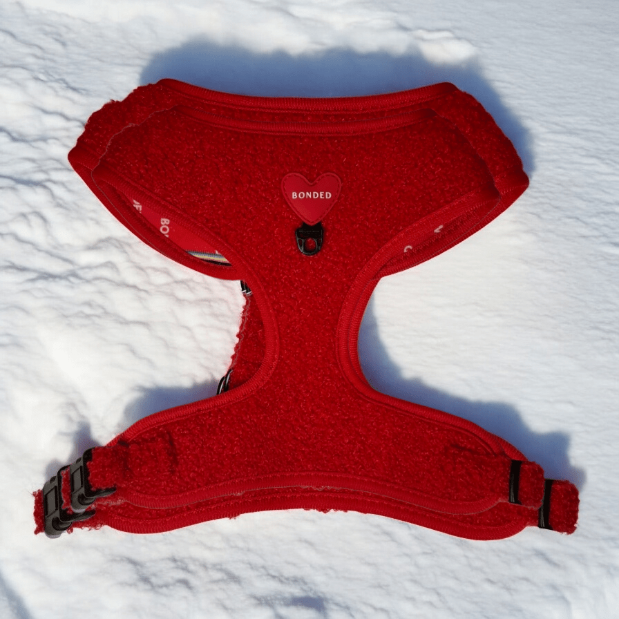 bonded arnesesparaperros arneses correasapraperros perros tiendapsramascotas collaresdegato paraperros