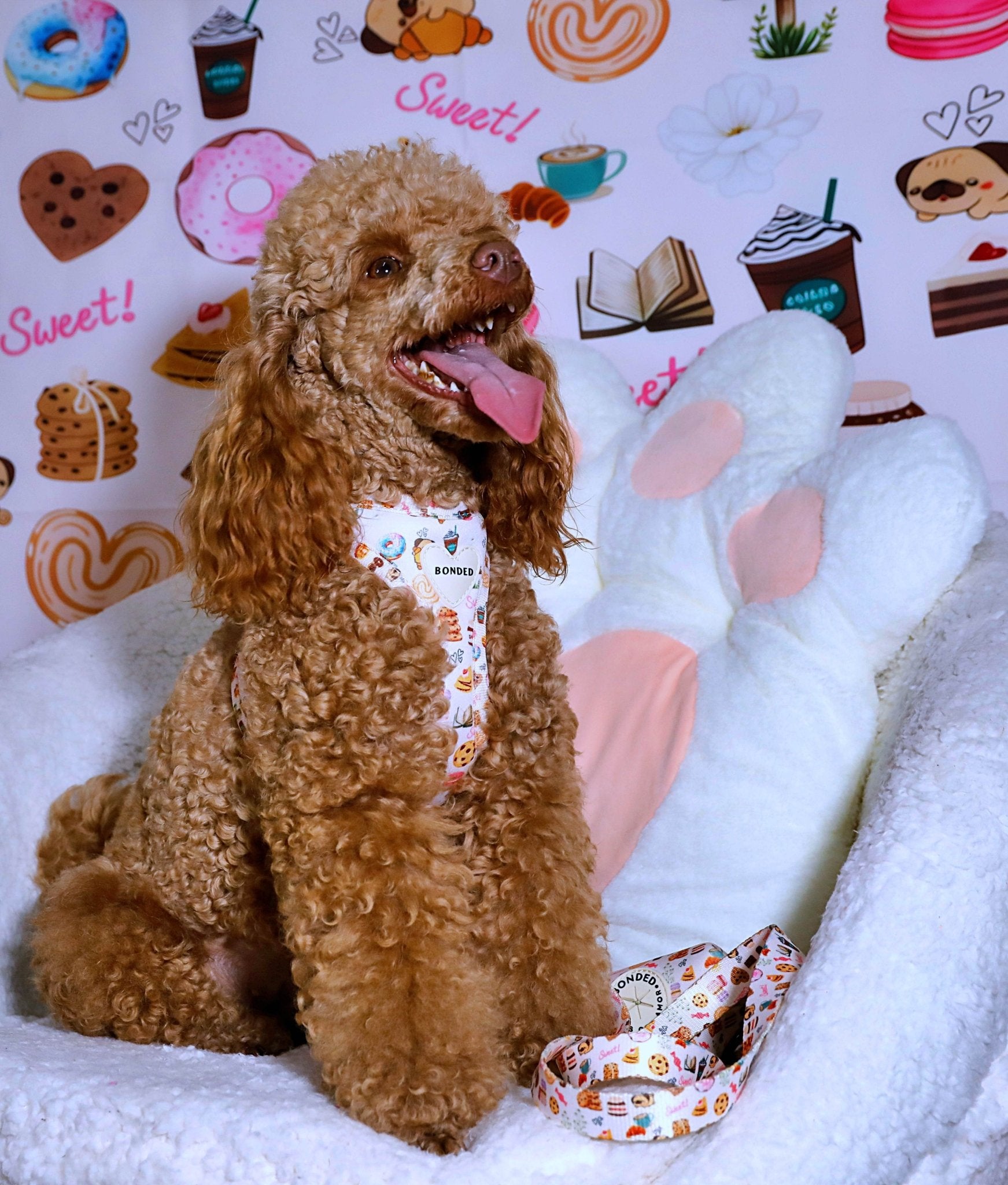 bonded arnesesparaperros arneses correasapraperros perros tiendapsramascotas collaresdegato paraperros