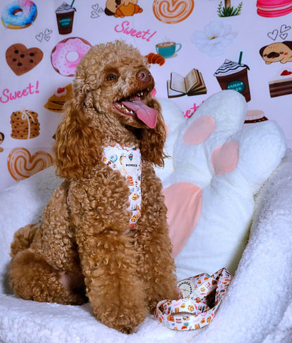 bonded arnesesparaperros arneses correasapraperros perros tiendapsramascotas collaresdegato paraperros