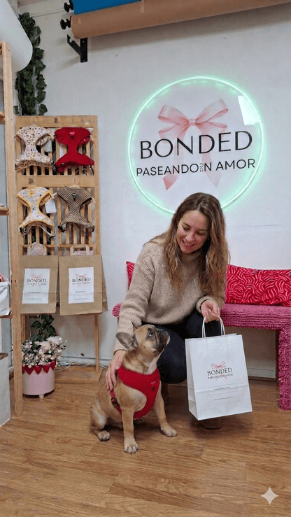 bonded arnesesparaperros arneses correasapraperros perros tiendapsramascotas collaresdegato paraperros