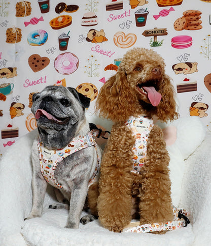 bonded arnesesparaperros arneses correasapraperros perros tiendapsramascotas collaresdegato paraperros