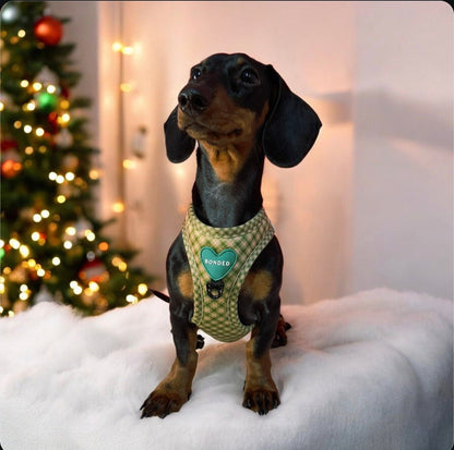 bonded arnesesparaperros arneses correasapraperros perros tiendapsramascotas collaresdegato paraperros