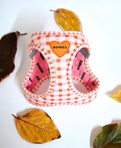 bonded arnesesparaperros arneses correasapraperros perros tiendapsramascotas collaresdegato paraperros