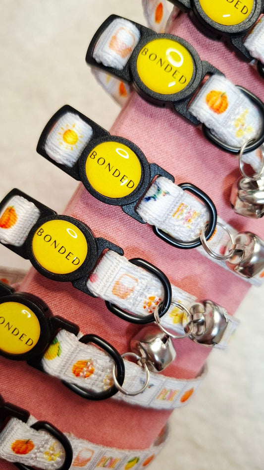 bonded arnesesparaperros arneses correasapraperros perros tiendapsramascotas collaresdegato paraperros