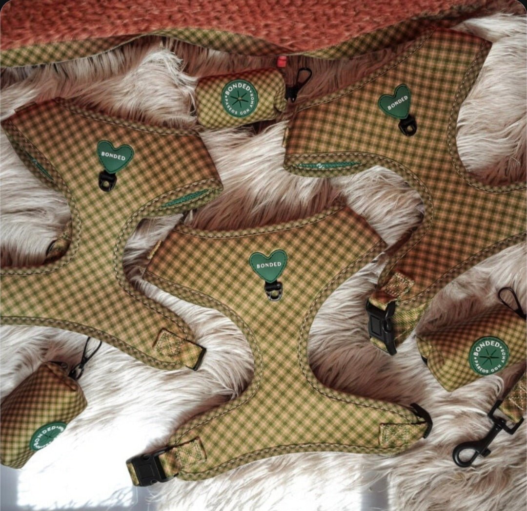 bonded arnesesparaperros arneses correasapraperros perros tiendapsramascotas collaresdegato paraperros