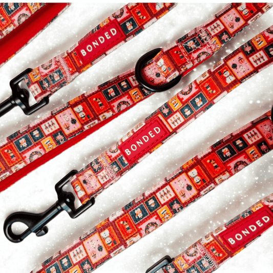 bonded arnesesparaperros arneses correasapraperros perros tiendapsramascotas collaresdegato paraperros