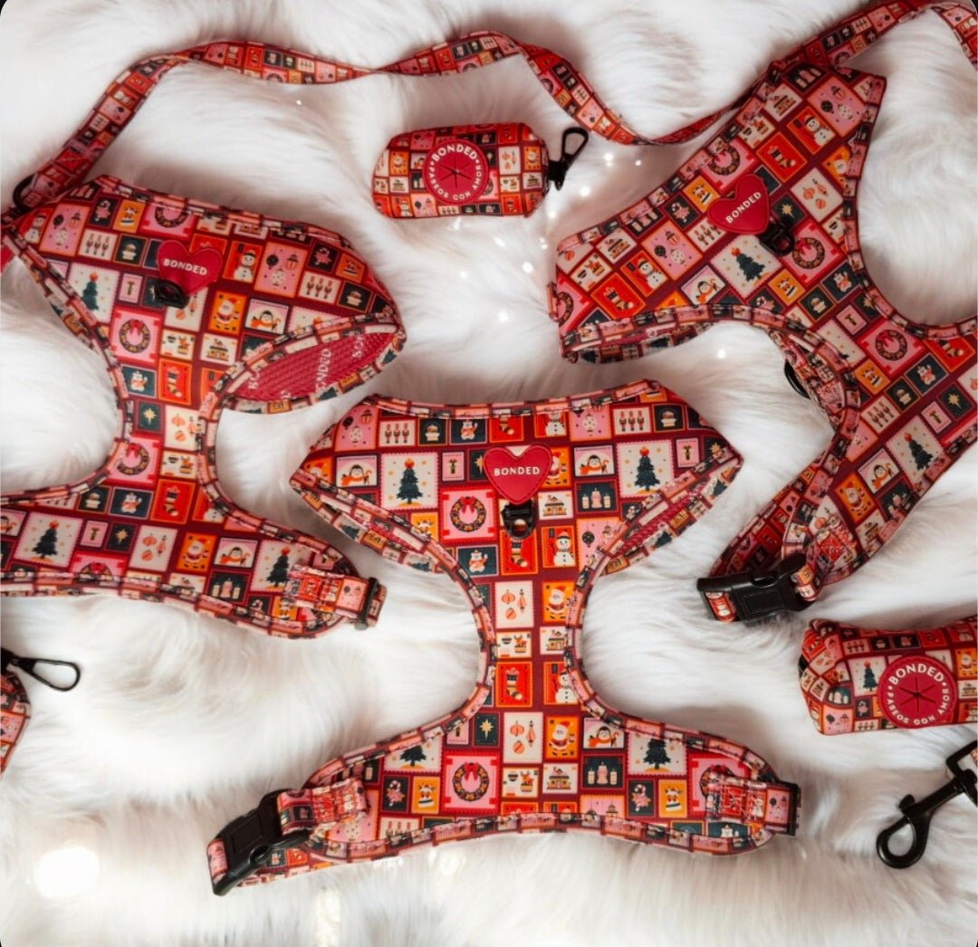 bonded arnesesparaperros arneses correasapraperros perros tiendapsramascotas collaresdegato paraperros