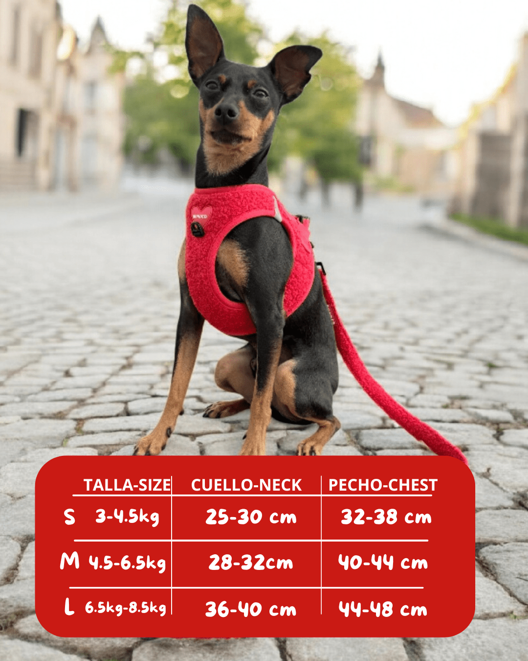 bonded arnesesparaperros arneses correasapraperros perros tiendapsramascotas collaresdegato paraperros