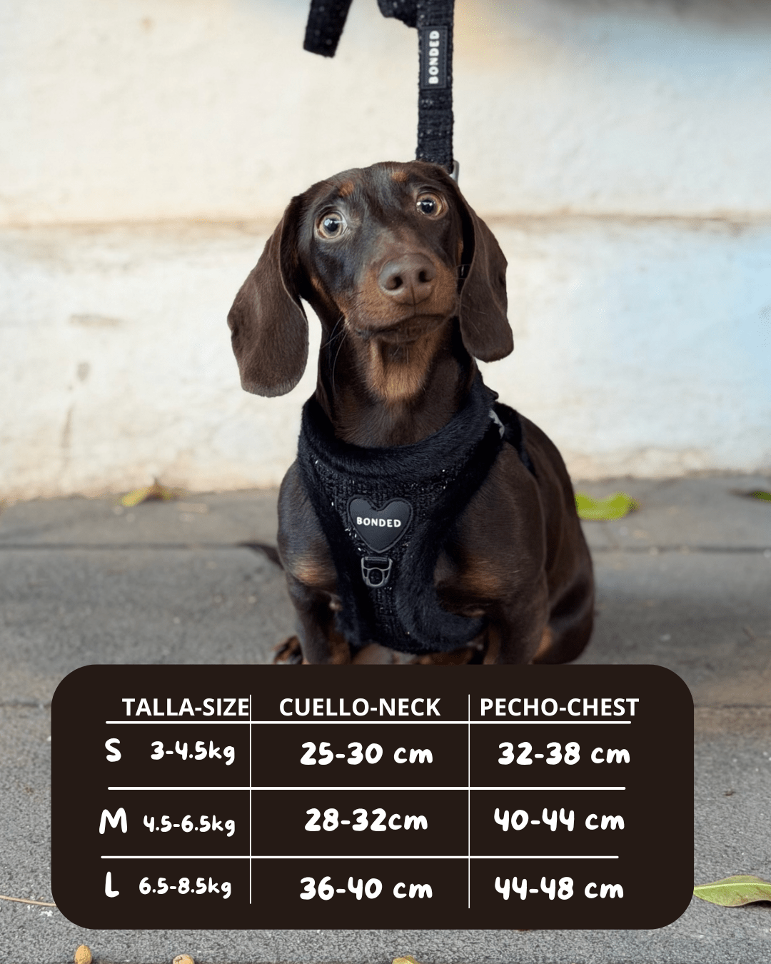 bonded arnesesparaperros arneses correasapraperros perros tiendapsramascotas collaresdegato paraperros