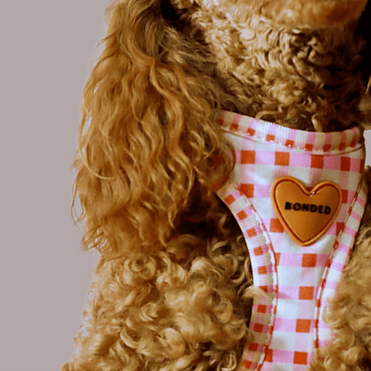 bonded arnesesparaperros arneses correasapraperros perros tiendapsramascotas collaresdegato paraperros