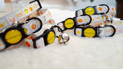 bonded arnesesparaperros arneses correasapraperros perros tiendapsramascotas collaresdegato paraperros