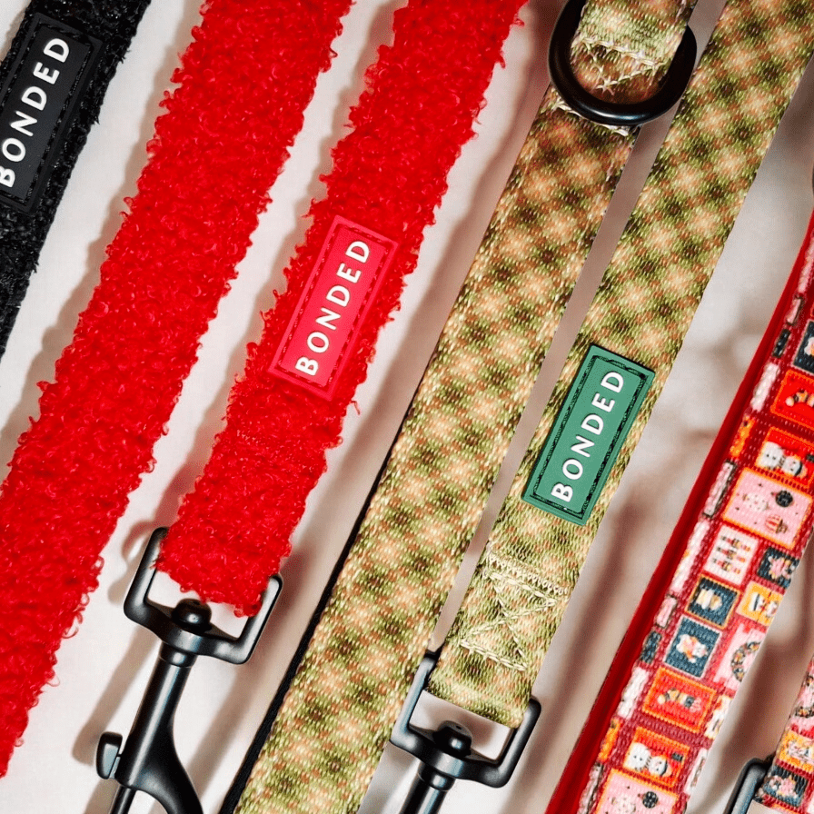 bonded arnesesparaperros arneses correasapraperros perros tiendapsramascotas collaresdegato paraperros